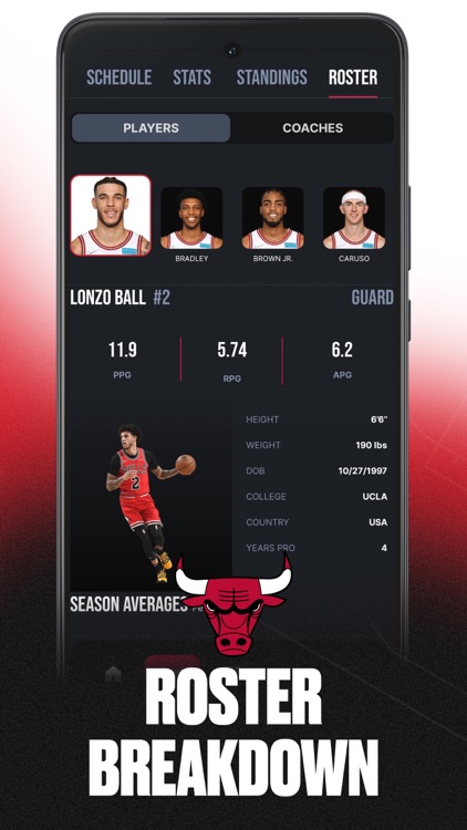 Chicago Bulls screenshot-4