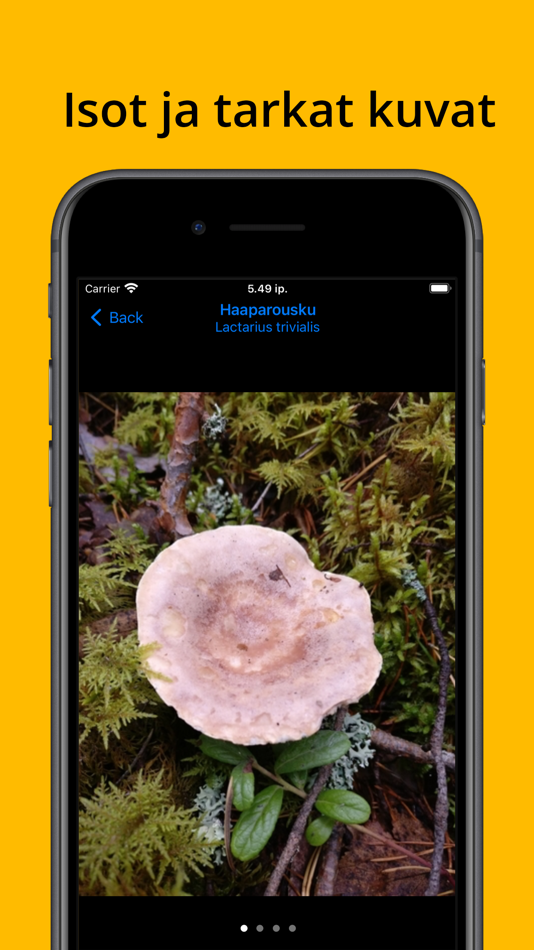#3. Sieniopus (iOS) 由: Joni Lassila