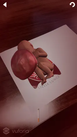 Game screenshot Little Lives: Tobacco Effects apk