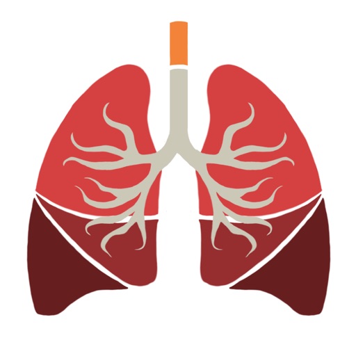 Little Lives: Tobacco Effects