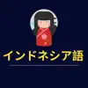 Japanese Indonesian Dictionary App Feedback