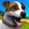 Animal Care Dog Shelter 3D icon