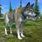 Wolf Simulator Evolution