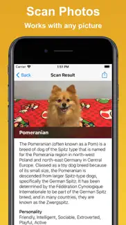 dog scan - breed identifier iphone screenshot 3