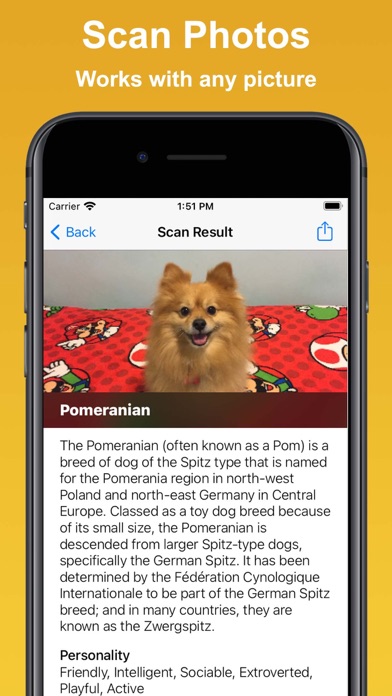 Screenshot #3 pour Dog Scan - Identify Breeds