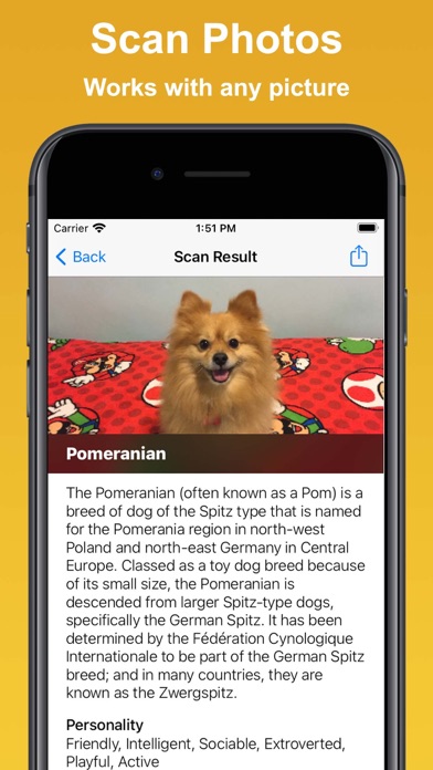 Dog Scan - Breed Identifier Screenshot