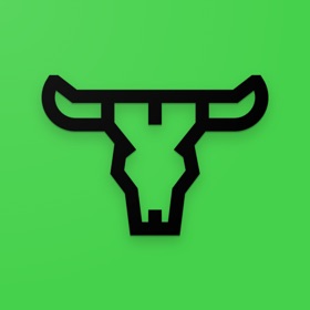 Bulls And Cows: Break the code