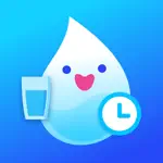 Daily water - Drink diet log App Positive Reviews