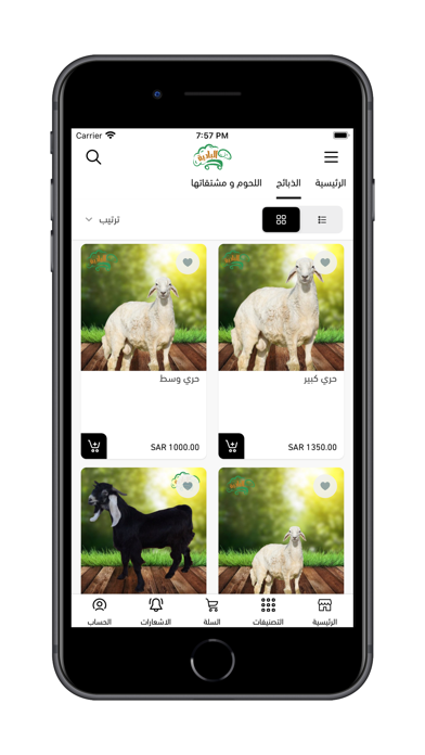اغنام البادية Screenshot 2 - AppWisp.com اغنام البادية Screenshot 2 - AppWisp.com