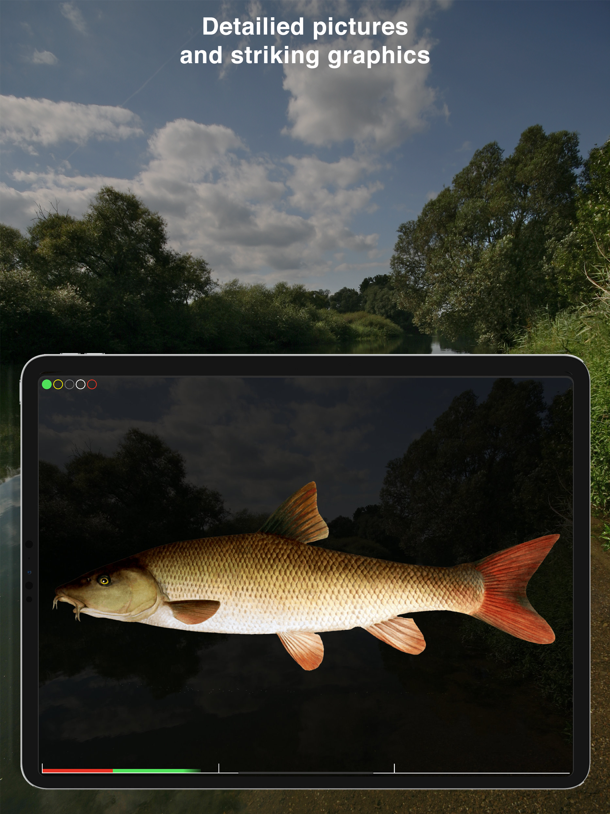 Fishguide Hessia