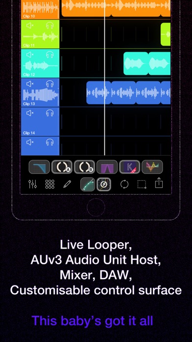 Loopy Pro: Looper DAW Sampler Screenshot