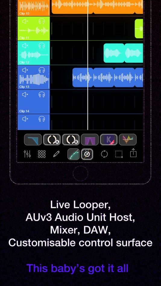 #5. Loopy Pro: Looper DAW Sampler (iOS) 由: A Tasty Pixel