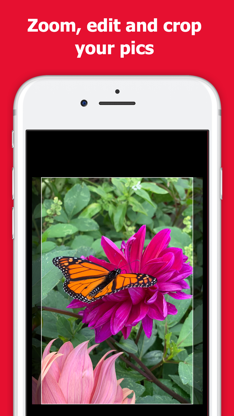 EZ Photo Prints: 1 Hour Photos screenshot 5