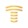 TeslaPay icon