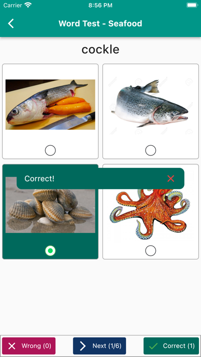 English Vocabulary in Use Screenshot