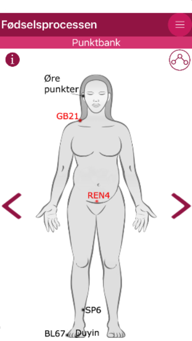 Screenshot #3 pour AcuBirth - v. Siegumfeldt