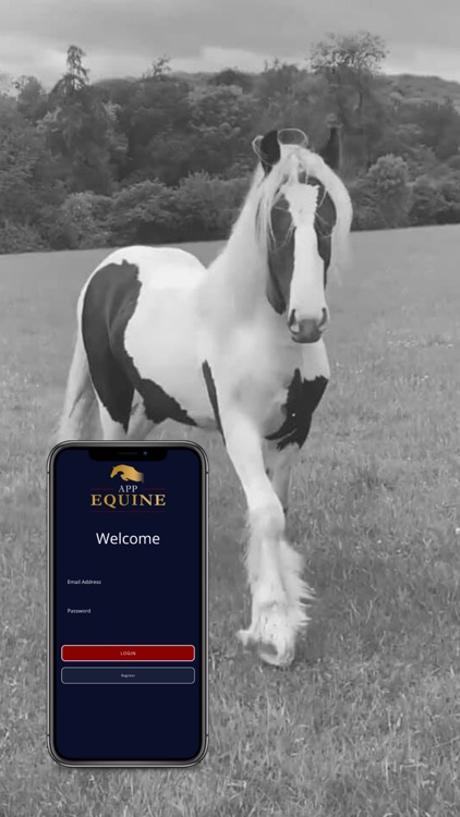 App Equine