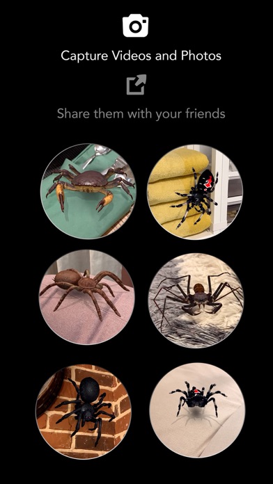 AR Spiders & Co: Scare friendsのおすすめ画像6