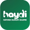 HAYDİ