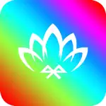 Magic-Lantern App Positive Reviews