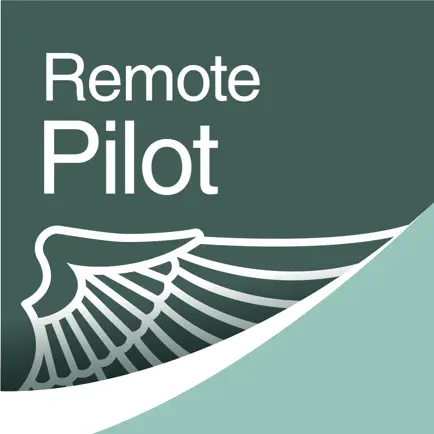 Prepware Remote Pilot Читы