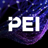 PDI APAC Forum 2024 logo