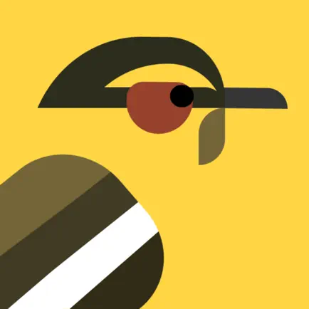 Find the Birds Читы