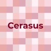 Cerasus Yedoensis