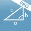 Solving Pythagoras PRO App Feedback
