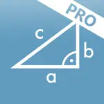 Solving Pythagoras PRO App Contact