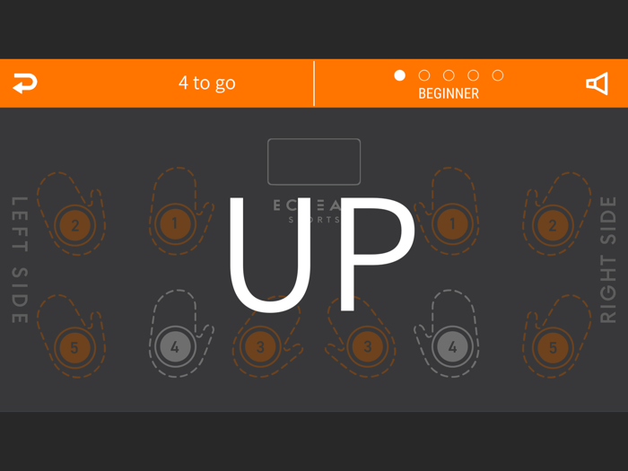 ECLEAR SPORTS Training