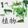植物百科-汇聚数千种常见植物 icon
