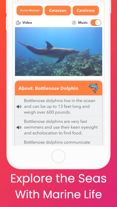 YipYap - Animal Discovery Screenshot