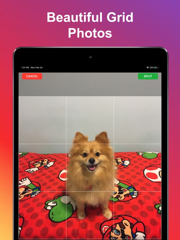 Screenshot #4 pour Photo Splitter: Picture Grids