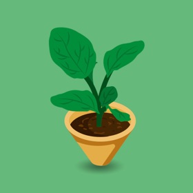 لقطات (4) 竹宝-竹芋植物栽培生长记录管家