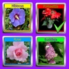 The Garden Quiz: Flowers icon