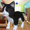 Kitten Cat Craft :Smash Room icon