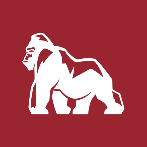 Tays: Business & Community Hub