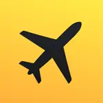 Flight Board App Positive Reviews