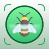 Insect Identification Bug Bite icon