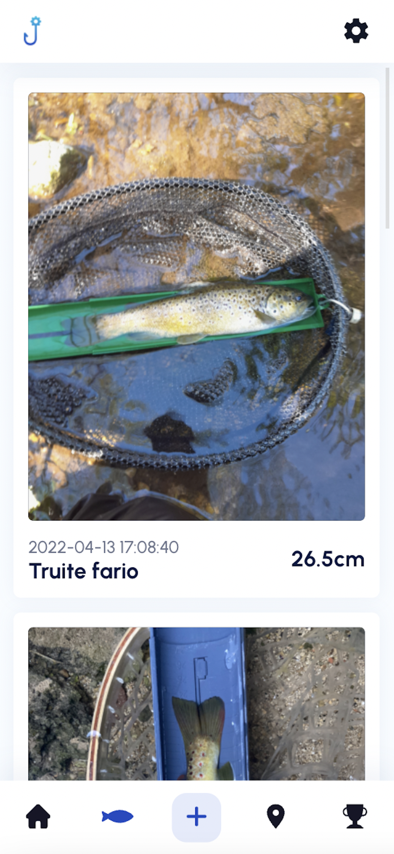 CatchMachine