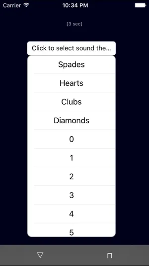 Random Sound Recorder screenshot 3