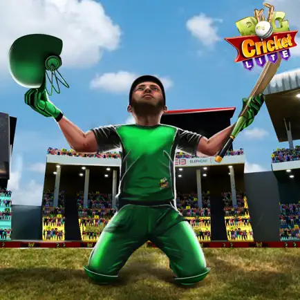 RVG Cricket Game: Cricket Lite Cheats