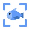 Fish Identifier by Picture icon