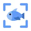 Fish Identifier by Picture App Positive Reviews