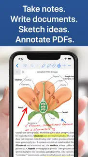 noteswriter pro 2025 - Заметки айфон картинки 1