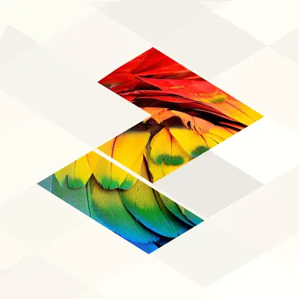 Bonza Jigsaw Cheats