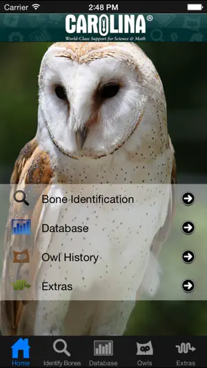 Owl Pellet Activities screenshot 1
