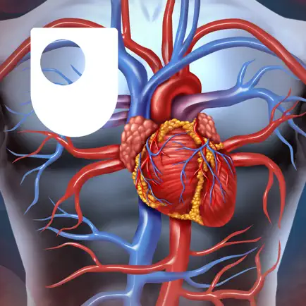 Human Heart Читы