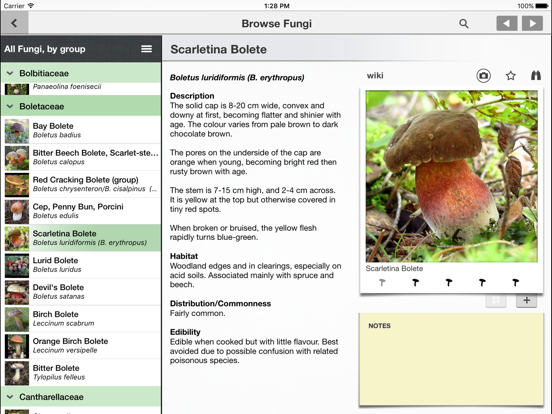 Screenshot #4 pour Mushrooms & other Fungi UK